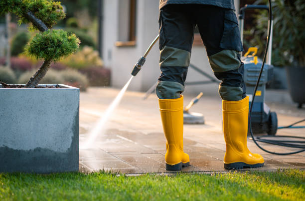 Best Pressure Washing Company Near Me  in Mason, TN